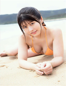 赵普 翻译