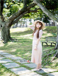 冷暖群芳